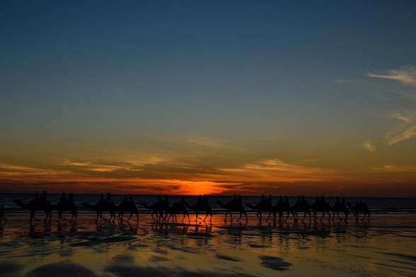 Broome, Camels Sunset